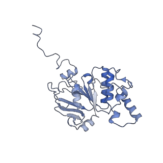 30358_7cgn_B_v2-2
The overall structure of the MlaFEDB complex in ATP-bound EQtall conformation (Mutation of E170Q on MlaF)