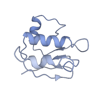 30358_7cgn_C_v2-1
The overall structure of the MlaFEDB complex in ATP-bound EQtall conformation (Mutation of E170Q on MlaF)