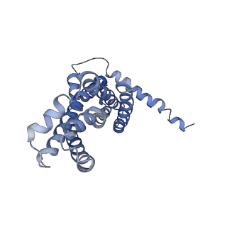 30358_7cgn_D_v1-2
The overall structure of the MlaFEDB complex in ATP-bound EQtall conformation (Mutation of E170Q on MlaF)