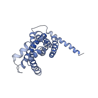30358_7cgn_D_v2-1
The overall structure of the MlaFEDB complex in ATP-bound EQtall conformation (Mutation of E170Q on MlaF)