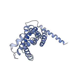 30358_7cgn_D_v2-2
The overall structure of the MlaFEDB complex in ATP-bound EQtall conformation (Mutation of E170Q on MlaF)