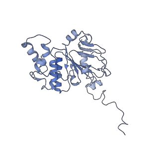 30358_7cgn_E_v1-2
The overall structure of the MlaFEDB complex in ATP-bound EQtall conformation (Mutation of E170Q on MlaF)