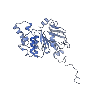 30358_7cgn_E_v2-1
The overall structure of the MlaFEDB complex in ATP-bound EQtall conformation (Mutation of E170Q on MlaF)