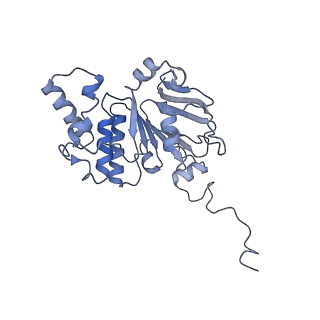 30358_7cgn_E_v2-2
The overall structure of the MlaFEDB complex in ATP-bound EQtall conformation (Mutation of E170Q on MlaF)