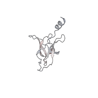 30358_7cgn_H_v1-2
The overall structure of the MlaFEDB complex in ATP-bound EQtall conformation (Mutation of E170Q on MlaF)