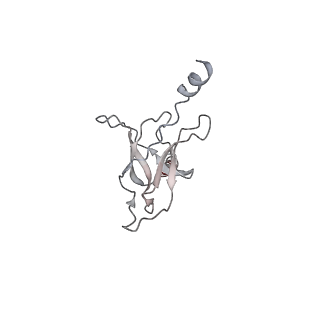 30358_7cgn_H_v2-1
The overall structure of the MlaFEDB complex in ATP-bound EQtall conformation (Mutation of E170Q on MlaF)