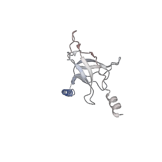 30358_7cgn_J_v1-2
The overall structure of the MlaFEDB complex in ATP-bound EQtall conformation (Mutation of E170Q on MlaF)