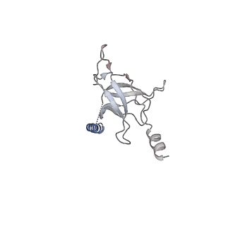 30358_7cgn_J_v2-1
The overall structure of the MlaFEDB complex in ATP-bound EQtall conformation (Mutation of E170Q on MlaF)