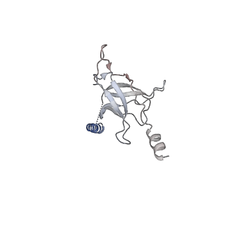 30358_7cgn_J_v2-2
The overall structure of the MlaFEDB complex in ATP-bound EQtall conformation (Mutation of E170Q on MlaF)