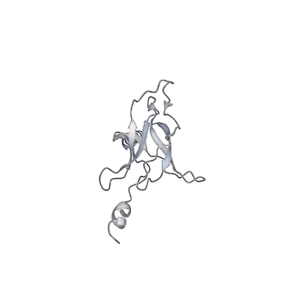 30358_7cgn_K_v1-2
The overall structure of the MlaFEDB complex in ATP-bound EQtall conformation (Mutation of E170Q on MlaF)