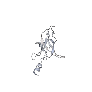 30358_7cgn_K_v2-1
The overall structure of the MlaFEDB complex in ATP-bound EQtall conformation (Mutation of E170Q on MlaF)