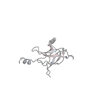 30358_7cgn_L_v2-2
The overall structure of the MlaFEDB complex in ATP-bound EQtall conformation (Mutation of E170Q on MlaF)