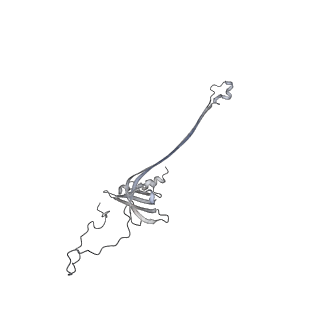 30359_7cgo_AA_v1-2
Cryo-EM structure of the flagellar motor-hook complex from Salmonella