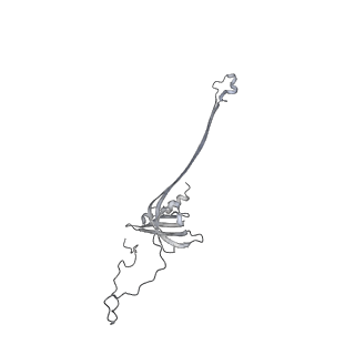 30359_7cgo_AB_v1-2
Cryo-EM structure of the flagellar motor-hook complex from Salmonella