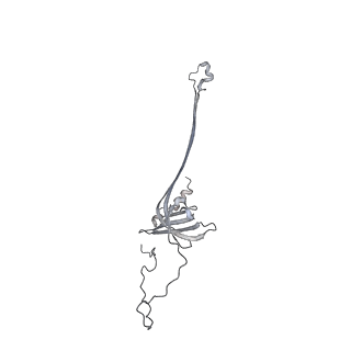 30359_7cgo_AC_v1-2
Cryo-EM structure of the flagellar motor-hook complex from Salmonella