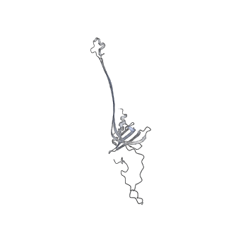 30359_7cgo_AE_v1-2
Cryo-EM structure of the flagellar motor-hook complex from Salmonella