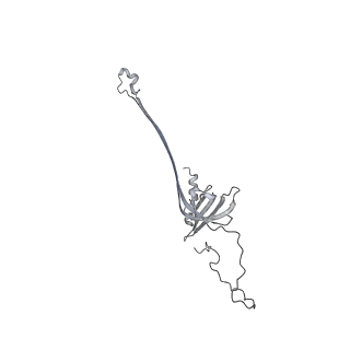 30359_7cgo_AF_v1-2
Cryo-EM structure of the flagellar motor-hook complex from Salmonella