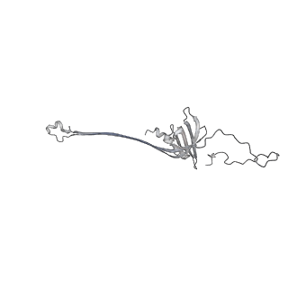 30359_7cgo_AJ_v1-2
Cryo-EM structure of the flagellar motor-hook complex from Salmonella