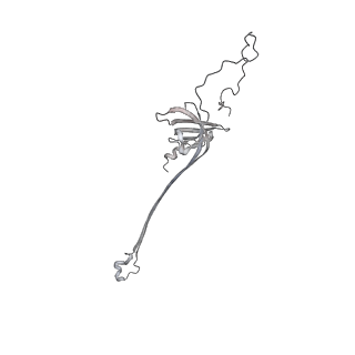 30359_7cgo_AO_v1-2
Cryo-EM structure of the flagellar motor-hook complex from Salmonella