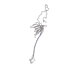 30359_7cgo_AP_v1-2
Cryo-EM structure of the flagellar motor-hook complex from Salmonella