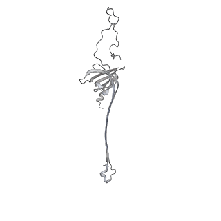 30359_7cgo_AQ_v1-2
Cryo-EM structure of the flagellar motor-hook complex from Salmonella