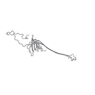 30359_7cgo_AV_v1-2
Cryo-EM structure of the flagellar motor-hook complex from Salmonella