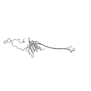 30359_7cgo_AW_v1-2
Cryo-EM structure of the flagellar motor-hook complex from Salmonella