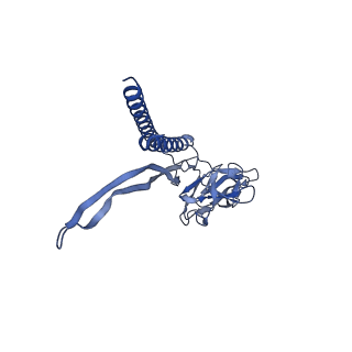 30359_7cgo_A_v1-2
Cryo-EM structure of the flagellar motor-hook complex from Salmonella