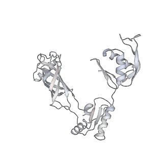 30359_7cgo_BA_v1-2
Cryo-EM structure of the flagellar motor-hook complex from Salmonella