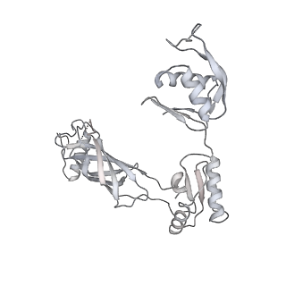 30359_7cgo_BC_v1-2
Cryo-EM structure of the flagellar motor-hook complex from Salmonella
