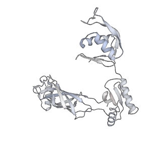 30359_7cgo_BD_v1-2
Cryo-EM structure of the flagellar motor-hook complex from Salmonella