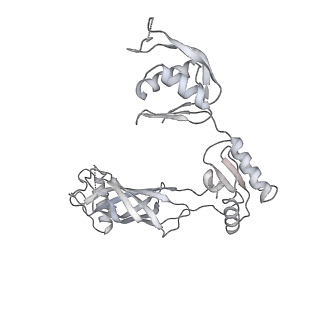30359_7cgo_BE_v1-2
Cryo-EM structure of the flagellar motor-hook complex from Salmonella