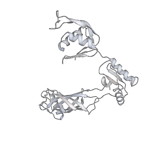 30359_7cgo_BF_v1-2
Cryo-EM structure of the flagellar motor-hook complex from Salmonella