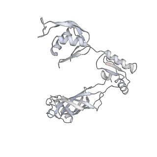 30359_7cgo_BG_v1-2
Cryo-EM structure of the flagellar motor-hook complex from Salmonella