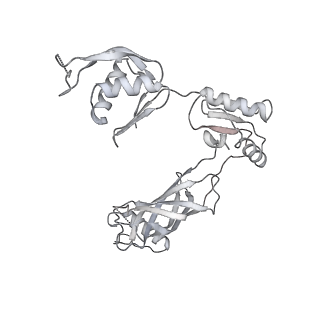 30359_7cgo_BH_v1-2
Cryo-EM structure of the flagellar motor-hook complex from Salmonella