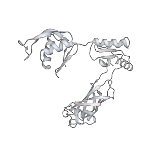 30359_7cgo_BI_v1-2
Cryo-EM structure of the flagellar motor-hook complex from Salmonella