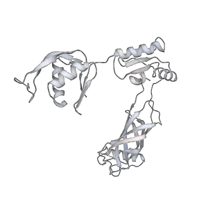 30359_7cgo_BJ_v1-2
Cryo-EM structure of the flagellar motor-hook complex from Salmonella