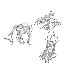 30359_7cgo_BK_v1-2
Cryo-EM structure of the flagellar motor-hook complex from Salmonella
