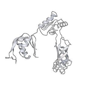 30359_7cgo_BL_v1-2
Cryo-EM structure of the flagellar motor-hook complex from Salmonella
