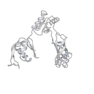 30359_7cgo_BM_v1-2
Cryo-EM structure of the flagellar motor-hook complex from Salmonella