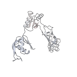 30359_7cgo_BN_v1-2
Cryo-EM structure of the flagellar motor-hook complex from Salmonella