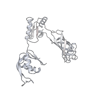 30359_7cgo_BO_v1-2
Cryo-EM structure of the flagellar motor-hook complex from Salmonella
