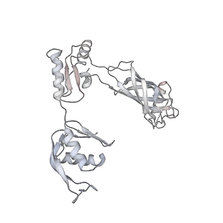 30359_7cgo_BP_v1-2
Cryo-EM structure of the flagellar motor-hook complex from Salmonella