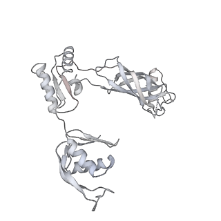 30359_7cgo_BQ_v1-2
Cryo-EM structure of the flagellar motor-hook complex from Salmonella