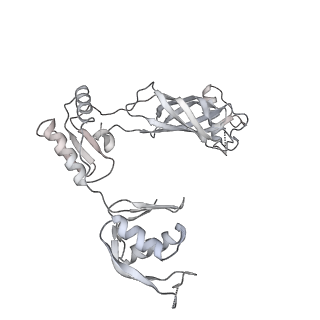 30359_7cgo_BR_v1-2
Cryo-EM structure of the flagellar motor-hook complex from Salmonella