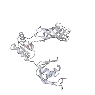 30359_7cgo_BS_v1-2
Cryo-EM structure of the flagellar motor-hook complex from Salmonella