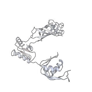 30359_7cgo_BT_v1-2
Cryo-EM structure of the flagellar motor-hook complex from Salmonella