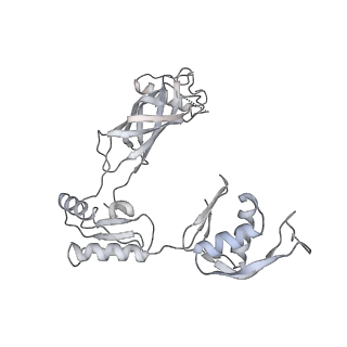 30359_7cgo_BV_v1-2
Cryo-EM structure of the flagellar motor-hook complex from Salmonella