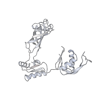 30359_7cgo_BW_v1-2
Cryo-EM structure of the flagellar motor-hook complex from Salmonella