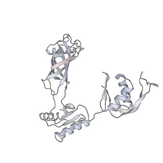 30359_7cgo_BX_v1-2
Cryo-EM structure of the flagellar motor-hook complex from Salmonella